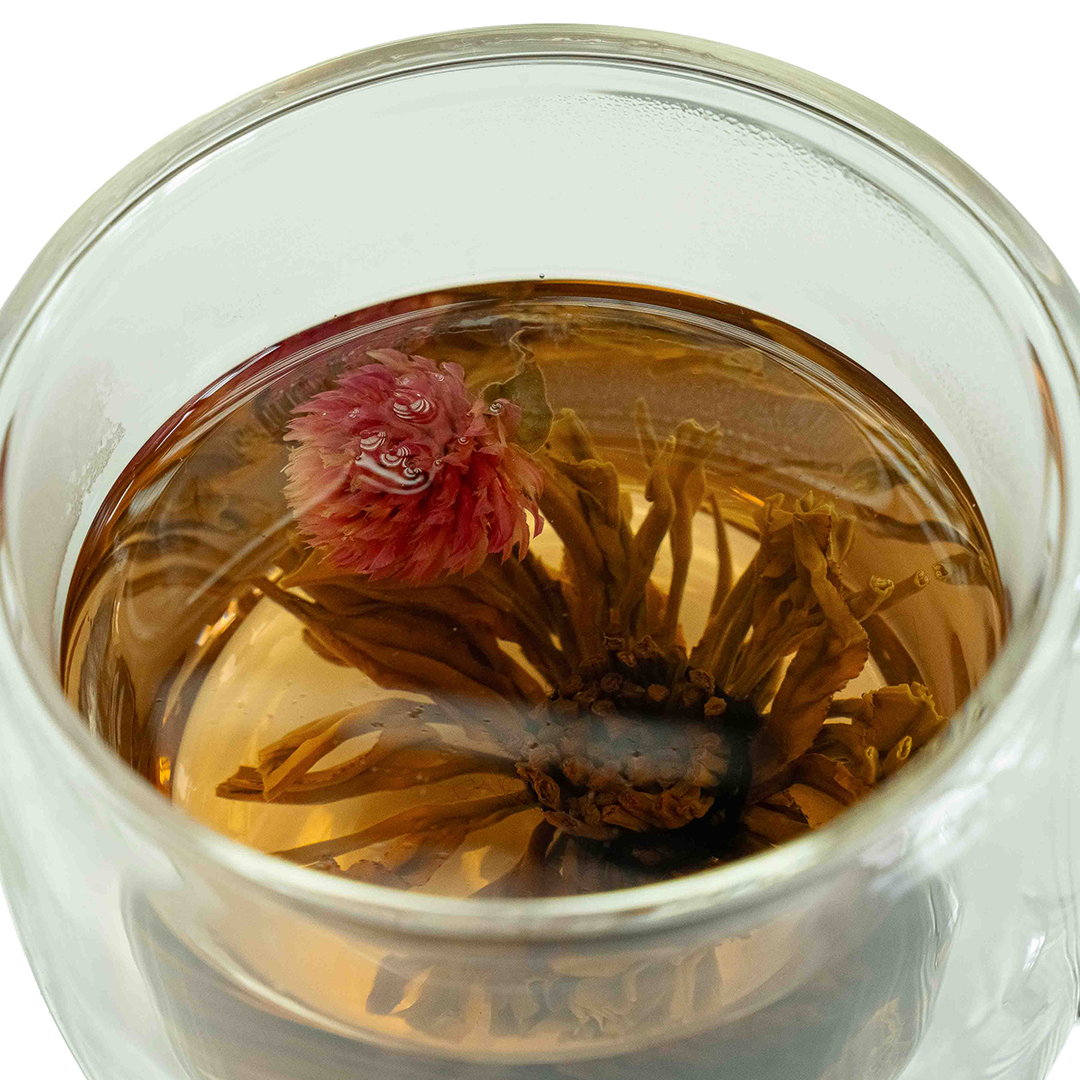 Ceylon blooming tea ball flowering in glass teapot
